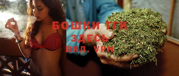 ешки Инсар