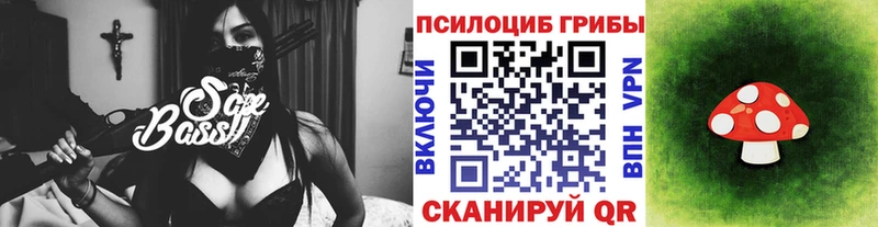 Купить  Валдай  Галлюциногенные грибы Cubensis 